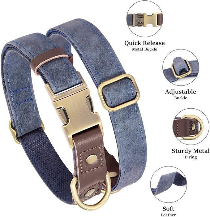 Didog Soft Padded Leather Dog Collars for Medium Dogs, Classic Heavy Duty Dog Collars Adjustable with Quick Release Metal Buckle,Blue,M Neck 13-19"