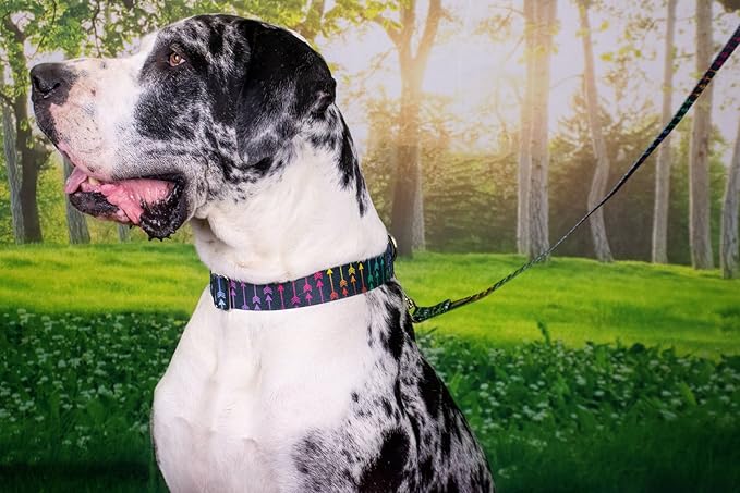 Country Brook Petz - Deluxe Colorful Arrows Dog Collar - Made in The U.S.A. - Chevron and Arrows Collection Featuring Linear Designs (1/2 Inch, Extra Small)
