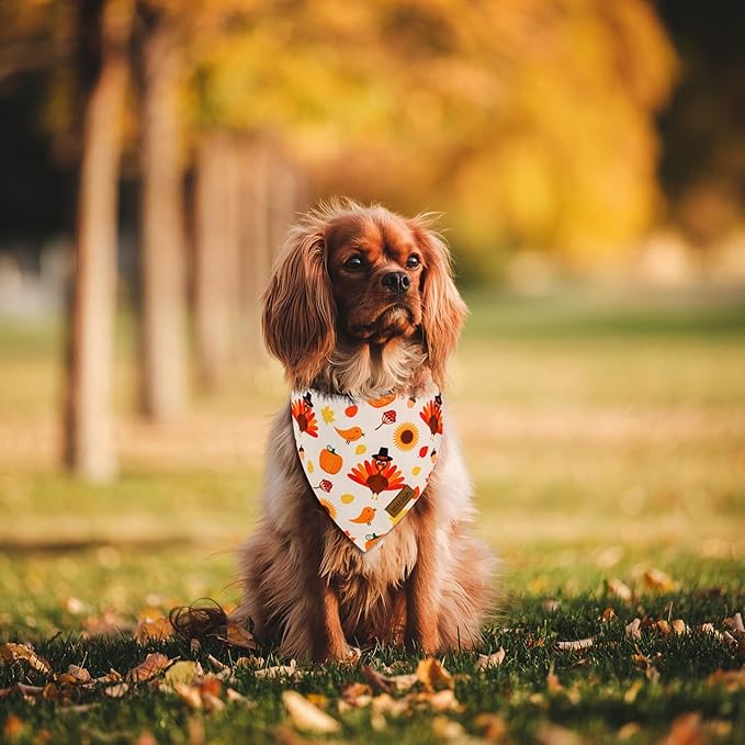 Thanksgiving Dog Bandanas - 2 Pack Reversible Fall Dog Scarf for Boy & Girl, Premium Durable Fabric, Autumn Bandana for Medium and Large Dogs (Large)