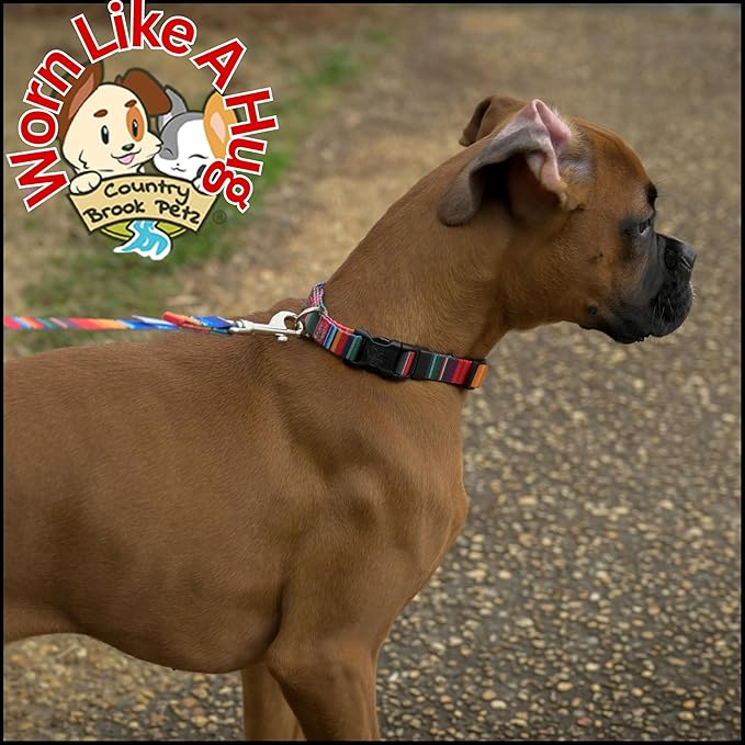 Country Brook Petz - Deluxe Serape Dog Collar - Made in The U.S.A. - Country and Western Collection Featuring Rustic Designs (1 Inch, Medium)