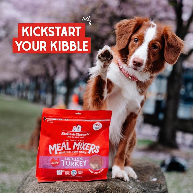 Stella & Chewy's Freeze-Dried Raw Tantalizing Turkey Meal Mixers- Dog Food Topper and Mixer - Made with 95% Cage-Free Turkey, Organs & Bone - Perfect for Picky Eaters - Grain-Free - 8 oz