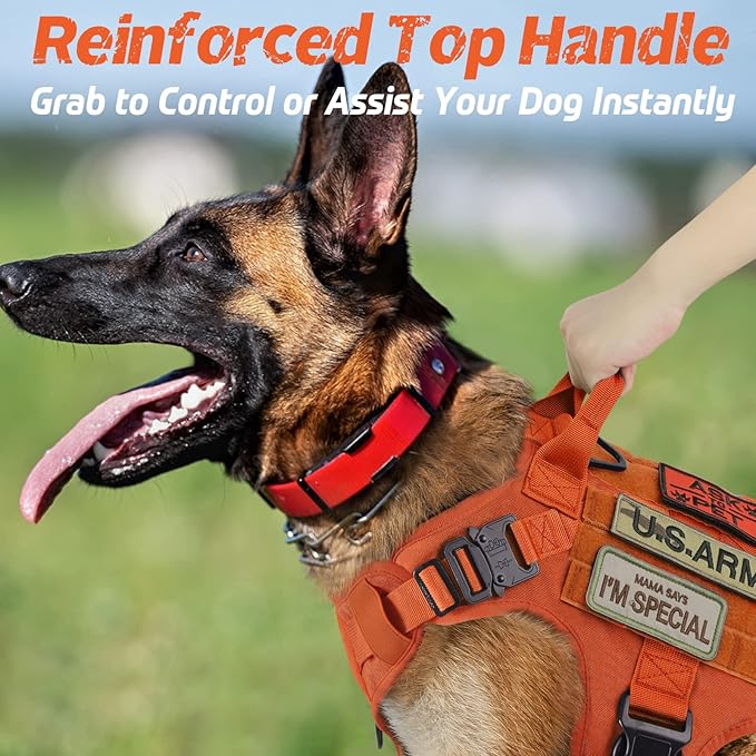 rabbitgoo Tactical Dog Harness for Large Dogs, Heavy Duty Dog Harness with Handle, No-Pull Service Dog Vest Large Breed, Adjustable Military Dog Vest Harness for Training Hunting Walking, Orange, M