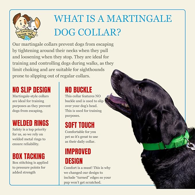 Country Brook Petz Martingale Dog Collar - Heavy-Duty Training Collar with No Buckle - Service Dog Collar for All Pups - Vibrant, Colorful Collection (Hot Green, 1 Inch, Extra Large)