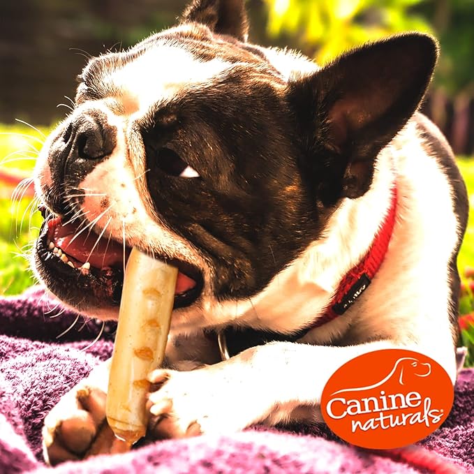 Canine Naturals Chicken Recipe Chew - Rawhide Free Dog Treats - Made from USA Raised Chicken - All-Natural and Easily Digestible - XL (2 Count) for Dogs 75lb+