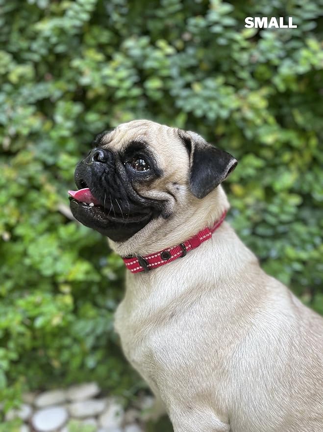 Tuff Pupper Heavy Duty Dog Collar with Handle | Ballistic Nylon Heavy Duty Collar | Padded Reflective Dog Collar with Adjustable Stainless Steel Hardware | Convenient Sizing for All Breeds