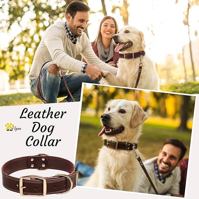 ADITYNA Heavy Duty Leather Dog Collar - Soft and Strong Leather Collar for Large Breeds (Large: Fit 17" - 23" Neck, Brown - Gold Colored Buckle)