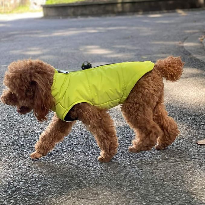 Winter Vest for Dogs, Waterproof & Windproof, Cotton Lined, Zippered Jacket, Breathable, Soft, Green, XS to L