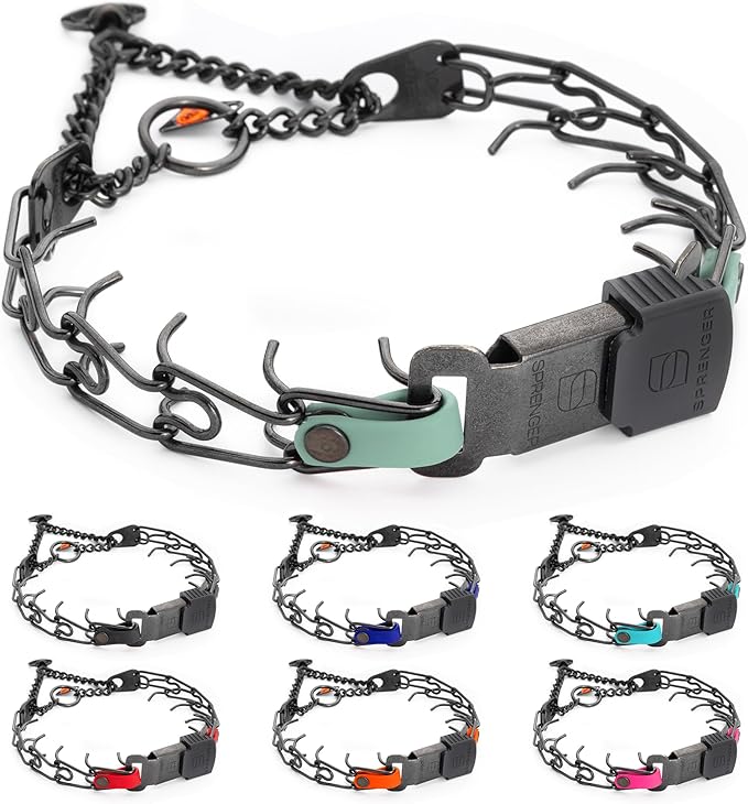 Herm Sprenger Black Stainless Steel Dog Collar with Quick Release ClicLock Buckle and Biothane Insert Training Collar Made in Germany (Sage Green, 16in x 2.25mm(Neck Size up to 13-14in))