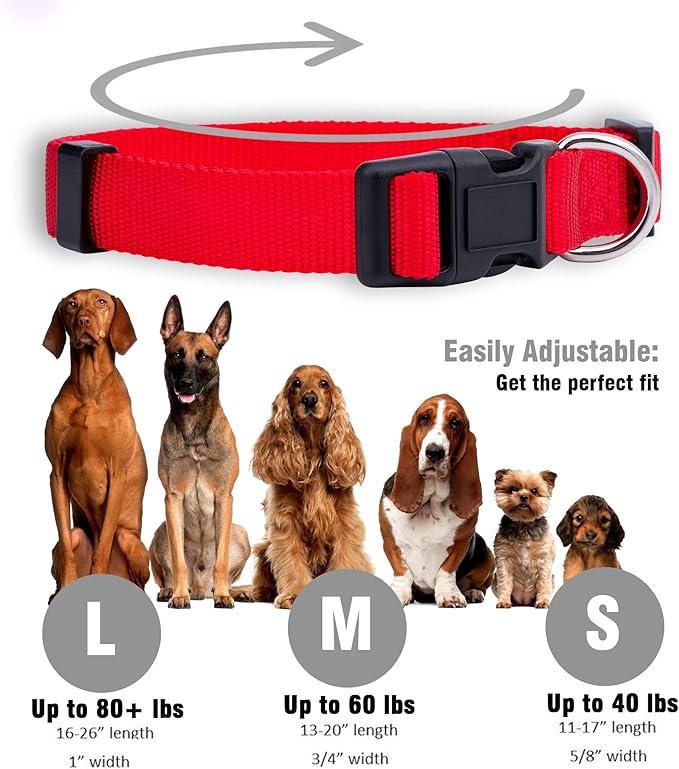Native Pup Basic Nylon Dog Collar, Adjustable for Small, Medium, Large pet and Puppies Accessories, Cute Colors for Male, Female, boy, Girl, Puppy (Small, Red)