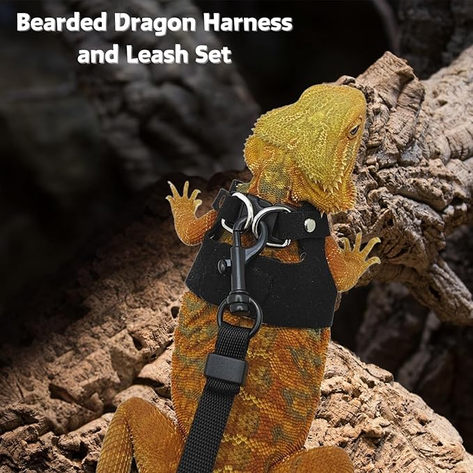 3 Pack Bearded Dragon Harness and Leash Set - Adjustable Soft Leather Lizard Harness Leash Small Animal Traction Rope Training Walking Vest Accessories for Reptile Squirrel Rat (Black)