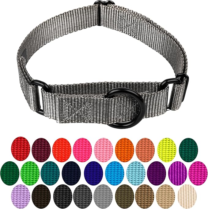 Country Brook Petz Martingale Dog Collar - Heavy-Duty Training Collar with No Buckle - Service Dog Collar for All Pups - Vibrant, Colorful Collection (Charcoal, 3/4 Inch, Small)