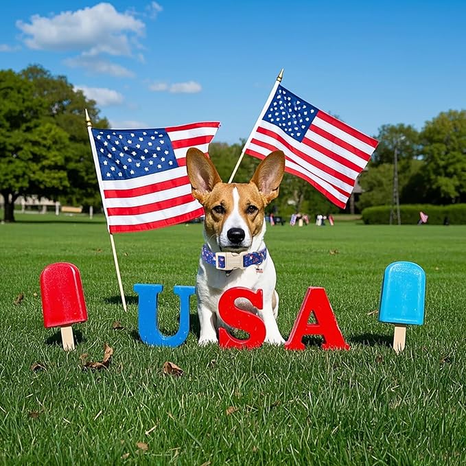 Lionet Paws 4th of July Dog Collar- Cute Summer Blue Dog Collars with Plastic Buckle and Flag Pendant, Light Adjustable Dog Collars for Small Medium Dogs