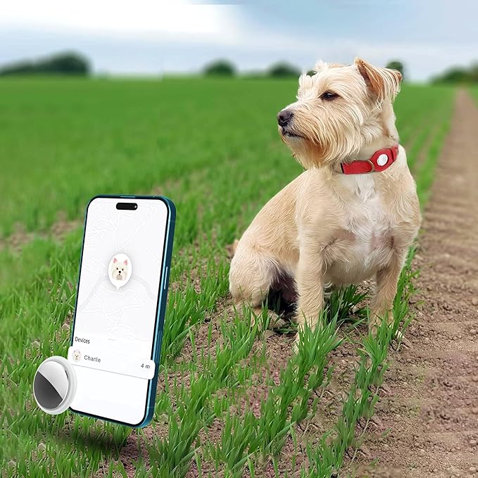 AirTag Dog Collar - Genuine Leather Dog Collar with Apple AirTag Holder and Metal Buckle - Smart GPS Tracking Pet Collars for Small Medium Large Dogs Puppy (Red, XS, 9"-12" Neck Fit)