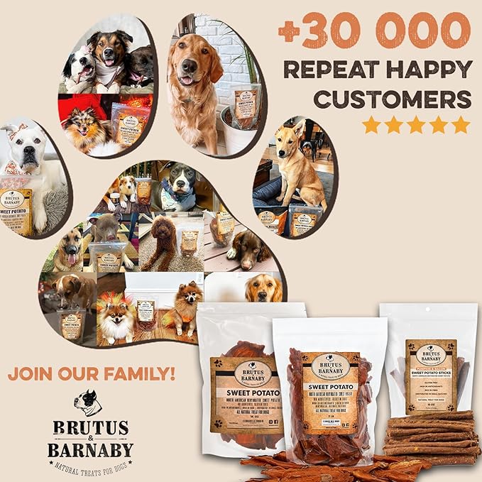 BRUTUS & BARNABY Sweet Potato Dog Treats- No Additive Dehydrated Sweet Potato Fries, Grain Free, Gluten Free and No Preservatives Added (14 oz)