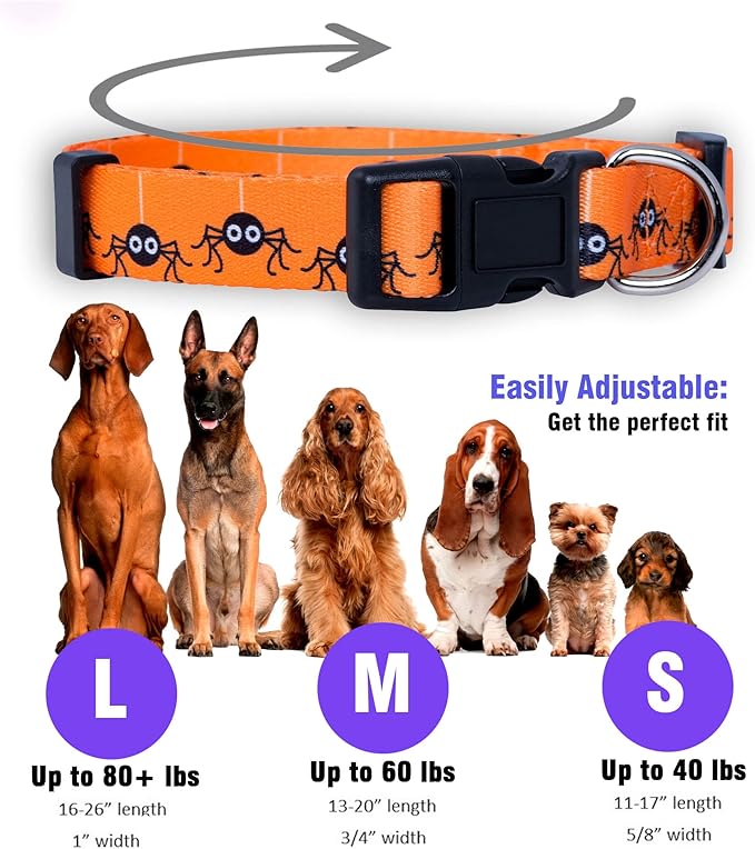 Native Pup Halloween Dog Collar- Spooky Fall Themed Horror Costume Collars- Skull, Pumpkin, Ghost, Bat, Witch, Candy Corn, Spider- Adjustable for Small, Medium, Large Breeds (Medium, Spiders)
