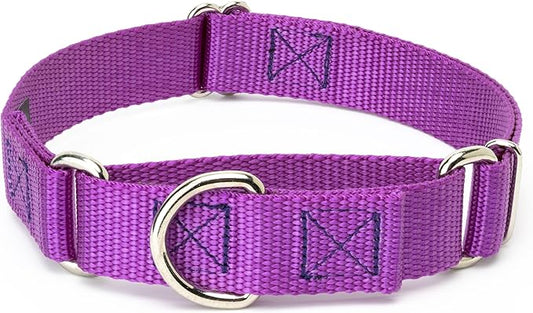 Country Brook Petz Martingale Dog Collar - Heavy-Duty Training Collar with No Buckle - Service Dog Collar for All Pups - Vibrant, Colorful Collection (Bright Purple, 5/8 Inch, Extra Small)
