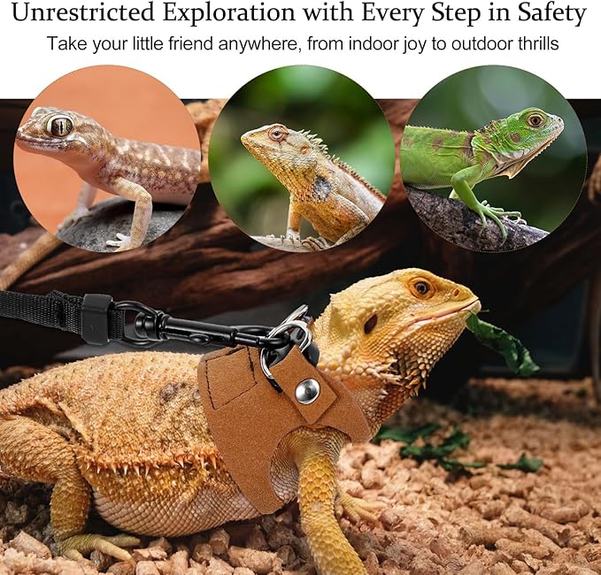3Pcs Bearded Dragon Leash and Harness Set, Adjustable Lizard Leash Soft Small Animal Traction Rope, Vest Accessories for Squirrel Rat, Gecko, Bearded Dragon