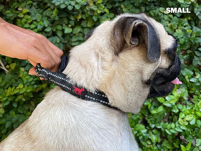 Tuff Pupper Heavy Duty Dog Collar with Handle | Ballistic Nylon Heavy Duty Collar | Padded Reflective Dog Collar with Adjustable Stainless Steel Hardware | Convenient Sizing for All Breeds