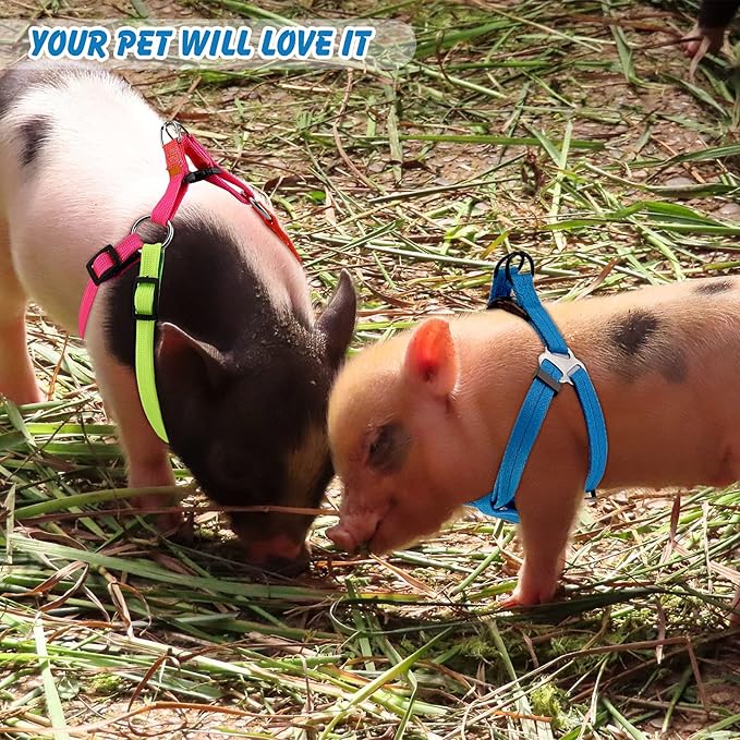 Frienda 2 Pcs Mini Pig Harness Leash Adjustable Small Pet Supply Mini Pig Walking Harness and Leash for Hog Piggy Ferret Rabbit Dog Cat and Other Small Animals Walking Training Jogging