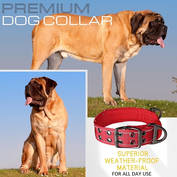 ADITYNA - Giant Dogs Collar - Adjustable XXL Collar 30 to 36 Inches - Designed Exclusively for Extra-Large Dog Breeds Like Huge Mastiff, Kangal, Saint Bernard - Heavy Duty Collar with Handle