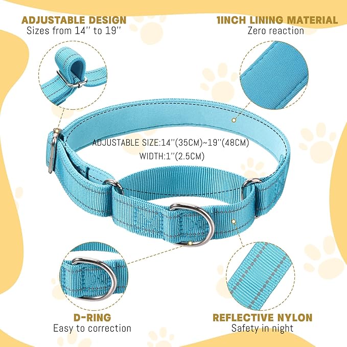 Cunno 12 Pcs Martingale Collar for Medium Dogs Reflective Dog Collar with Durable Metal Buckle Adjustable Nylon Pet Prevent Slipping Out for Pupplies, 12 Colors(Large)