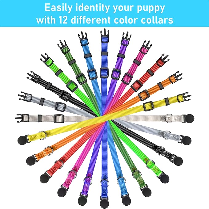 GAMUDA Soft Nylon Puppy and Pup Collars, Adjustable Breakaway Litter Collars, Plain Whelping & ID with Charts - Assorted Colors, Set of 12 (M)