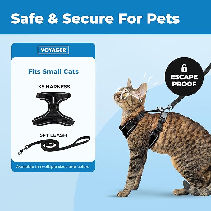 Voyager Escape Proof Cat Harness and Leash Set with Reflective Stitching, Neoprene Handle 5ft - Supports Small, Medium and Large Cats, Kittens for Walking by Best Pet Supplies - Black, XS