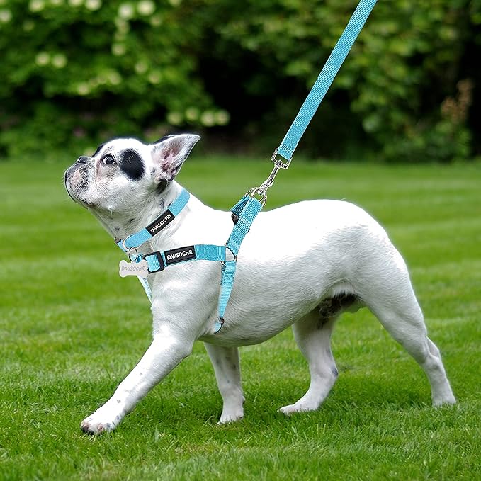 No Pull Dog Harness - Adjustable Step-in Harness & Leash Set for Small, Medium, Large Dogs - Escape Proof Soft Pet Harness for Walking, Training, Hiking, Outdoor Activities