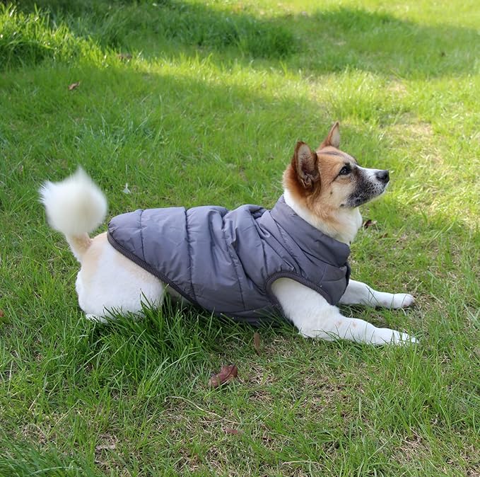 2 Layers Fleece Lined Warm Dog Jacket for Puppy Winter Cold Weather,Soft Windproof Small Dog Coat,Grey XS