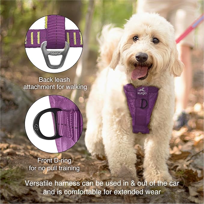 Kurgo Enhanced Strength Tru-Fit Smart Dog Harness, Deep Violet, Small - Crash Tested Car Safety Harness for Dogs, No Pull Dog Harness, Includes Pet Safety Seat Belt Tether, Steel Nesting Buckles