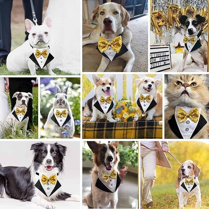 Tuxedo Costume Wedding Bandana Nylon Collar Suit With Gold Bow Tie Adjustable Black Tux Formal Dog Clothes for Small Medium Large Pet Birthday Christmas Dress Outfits
