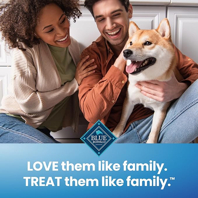 Blue Buffalo Large Dental Chews for Dogs, Daily Dental Care Dog Treats Made in The USA with Natural Ingredients, Chicken & Spearmint (44-oz Box, 28 Count)