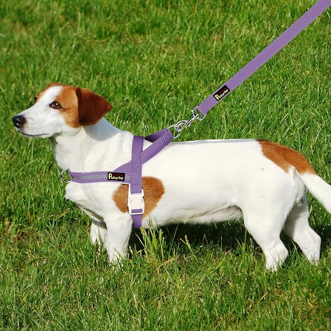 Plutus Pet Cotton Dog Harness and Leash Set, Reflective and Soft Padded, Quick Fit Vest Harness, for Small, Medium and Large Dogs, Medium Purple, S
