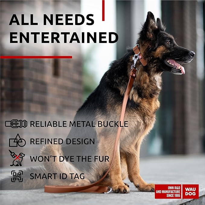 WAUDOG Long Lasting Leather Dog Collar for Large Dogs, Medium & Small Dogs - Adjustable Classic Puppy Collars for Large Breed Dogs - Boy & Girl Dog Collars with Durable Buckle, D-Ring & QR Dog Tag