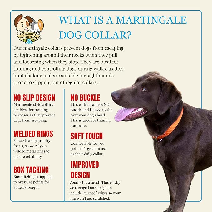 Country Brook Petz Martingale Dog Collar - Heavy-Duty Training Collar with No Buckle - Service Dog Collar for All Pups - Vibrant, Colorful Collection (Orange, 1 Inch, Medium)