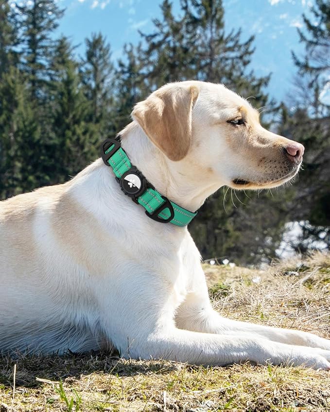 Joytale Airtag Dog Collar, Dual D-Rings, Reflective Pet Collar with Waterproof AirTag Holder, Soft Padded Adjustable for Medium Dogs, Teal, M