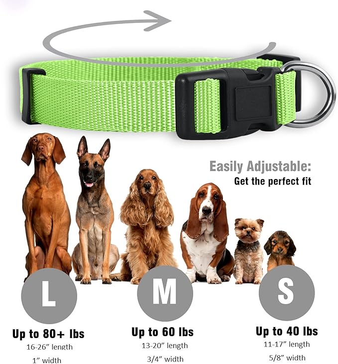 Native Pup Basic Nylon Dog Collar, Adjustable for Small, Medium, Large pet and Puppies Accessories, Cute Colors for Male, Female, boy, Girl, Puppy (Small, Neon)