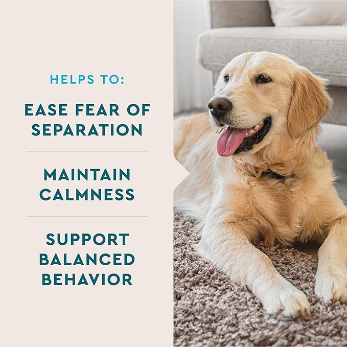 VetIQ Calming Support Supplement for Dogs, Calming Chews Help Manage Stress and Promote Relaxation, Anxiety Relief for Dogs, Made in The USA, 120 Count