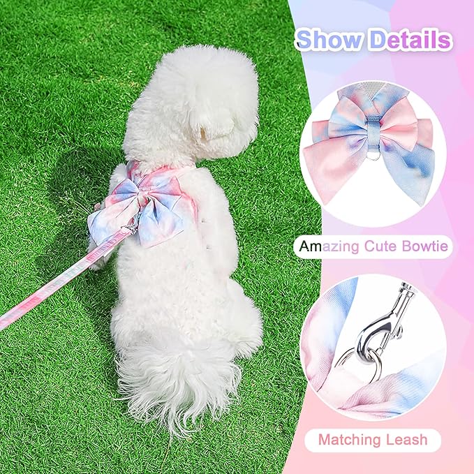 PETCARE Cute Bow Tie Dog Harness and Leash Set Elegant Rainbow Gradient Puppy Harness No Pull Soft Mesh Pet Cat Dog Vest Harnesses for Small Dogs Cats, Blue