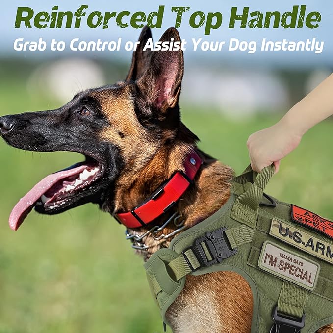 rabbitgoo Tactical Dog Harness for Small, Heavy Duty Pet Harness with Handle, No-Pull Service Vest Small Breed, Adjustable Military Dog Vest for Training Hunting Walking, Green, S