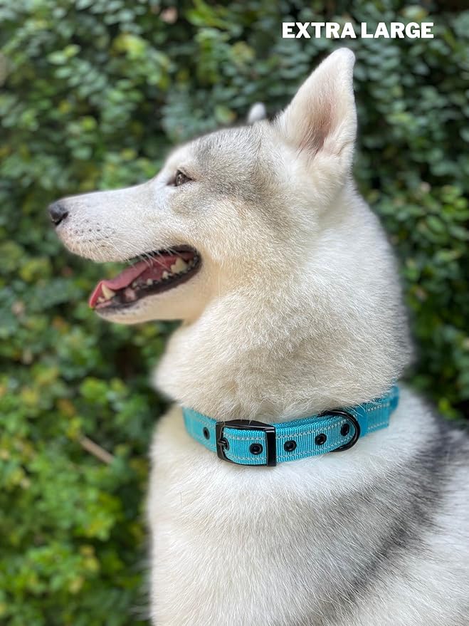 Tuff Pupper Heavy Duty Dog Collar with Handle | Ballistic Nylon Heavy Duty Collar | Padded Reflective Dog Collar with Adjustable Stainless Steel Hardware | Convenient Sizing for All Breeds