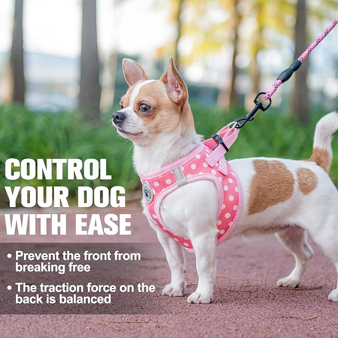 BEAUTYZOO Step in Dog Harness and Leash Set, Polka Dot Pattern Reflective Dog Harness No Pull No Choke Puppy Harness for XXS XS S Dogs Cats, Soft Padded Mesh Vest Harnesses for Girl and Boy Pets