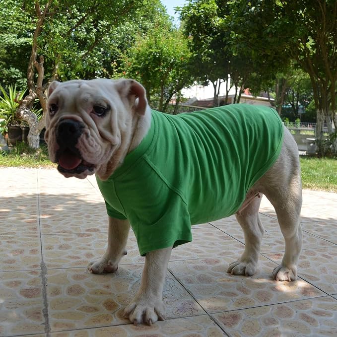 Lovelonglong Bulldog Clothes Dog Clothing Blank T-Shirt Tee Shirts for French Bulldog English Bulldog American Pit Bull Pugs 100% Cotton Skin Care Green B-M