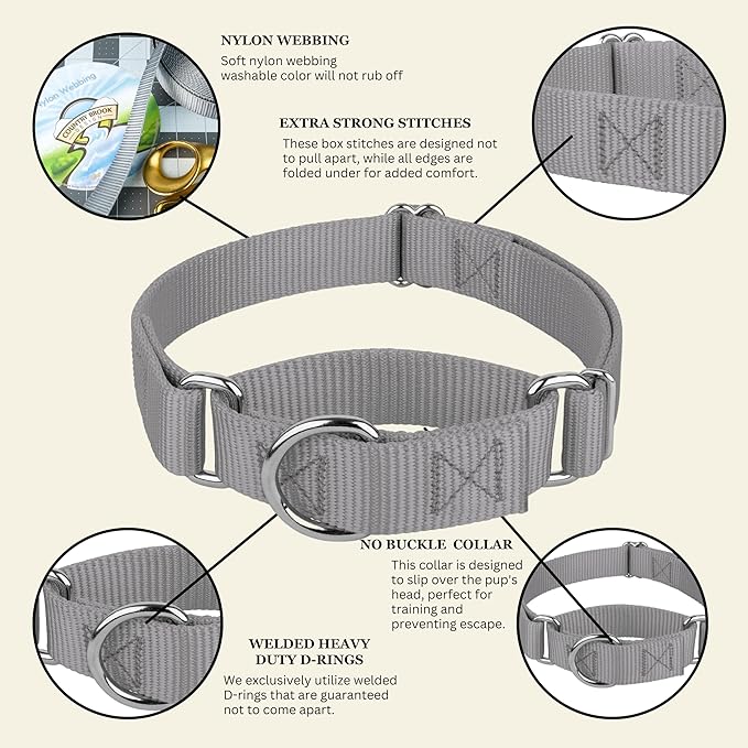 Country Brook Petz Martingale Dog Collar - Heavy-Duty Training Collar with No Buckle - Service Dog Collar for All Pups - Vibrant, Colorful Collection (Silver, 3/8 Inch, 3XS)