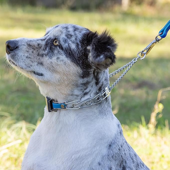 Herm Sprenger Chrome Plated Steel Dog Collar with Quick Release ClicLock Buckle and Biothane Insert Training Collar for Dogs Made in Germany (Cerulean Blue, 16in x 2.25mm(Neck Size up to 13-14in))
