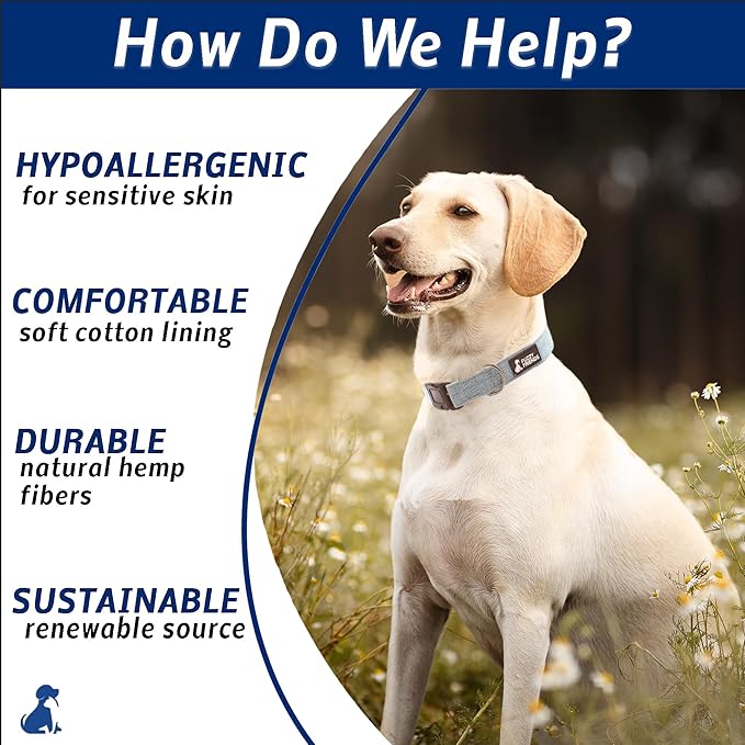 Light Blue Hemp Dog Collar - Hypoallergenic Dog Collar - Comfortable for Sensitive Skin or Allergies with no Harsh Dyes or Chemicals - 5 Sizes from X-Small to x-Large Breeds