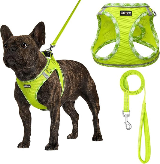 AMTOR Small Dog Harness with Leash Set, No Escape Easy Walk Puppy Harnesses for Training Walking, Step-in Reflective Soft Dogs Vest for XS S Medium Extra-Small Large Sized Dog(S Size,Green/White)