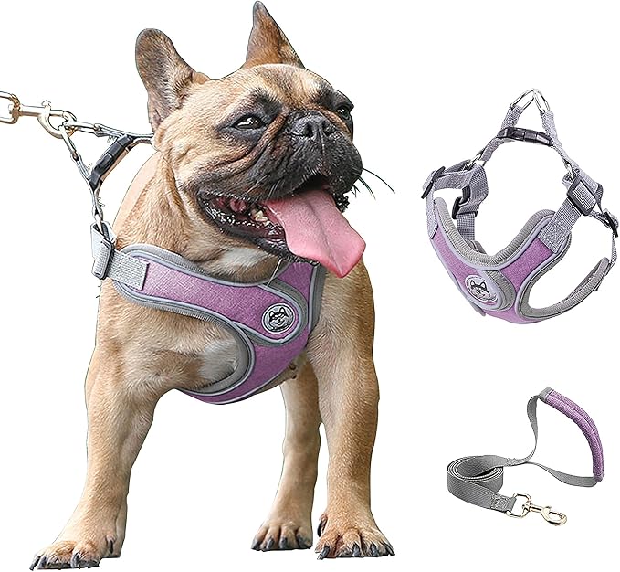 Large Dog Harness and Leash Set,No Pull Adjustable Step in Soft Mesh Vest Harness,Easy Walk Reflective Pet Harness with Padded Handle for Walking Training Small Medium Large Dogs and Cats (Purple, L)