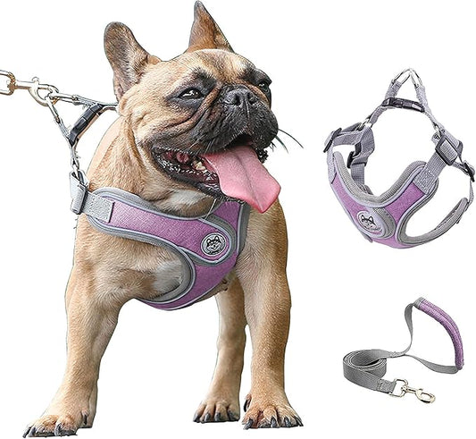 Large Dog Harness and Leash Set,No Pull Adjustable Step in Soft Mesh Vest Harness,Easy Walk Reflective Pet Harness with Padded Handle for Walking Training Small Medium Large Dogs and Cats (Purple, L)