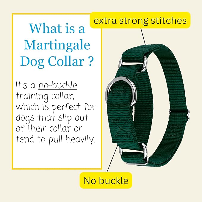 Country Brook Petz Martingale Dog Collar - Heavy-Duty Training Collar with No Buckle - Service Dog Collar for All Pups - Vibrant, Colorful Collection (Green, 1 Inch, Medium)